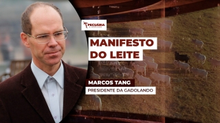 Marcos Tang - Presidente da Gadolando