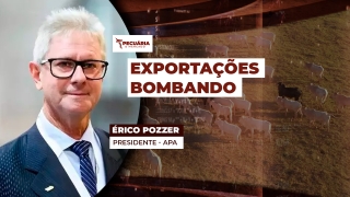 Érico Pozzer - Presidente - APA