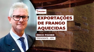 Érico Pozzer - Presidente - APA