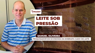 Samuel Oliveira - Pesquisador em Economia da Embrapa Gado de Leite