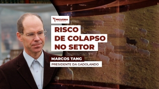 Marcos Tang - Presidente da Gadolando