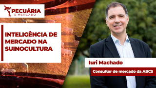Iuri Machado - Consultor de Mercado da ABCS