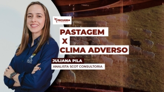 Juliana Pila - Analista Scot Consultoria