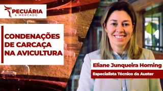 Eliane Junqueira Horning - Especialista Técnico da Auster