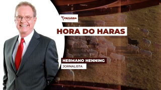 Hermano Henning - Jornalista