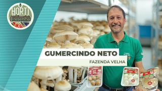 Horti Resenha Podcast - Guilherme Dorigatti