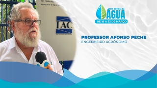 Professor Afonso Peche