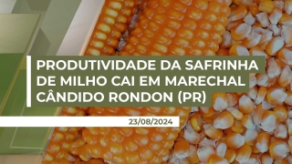 Edio Luiz Chapla - Presidente do Sind. Rural de Marechal Cândido Rondon/PR