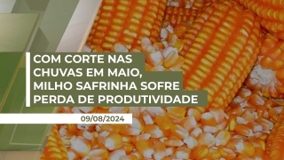 Silvésio de Oliveira - Produtor Rural da região de Tapurah/MT