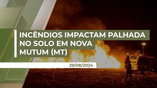 Paulo Zen - Presidente do Sindicato Rural de Nova Mutum/MT