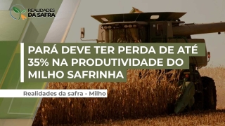 Carlos Adelino Noimann - Vice-Presidente da Aprosoja PA