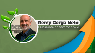 Remy Gorga Neto