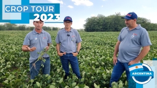 Emerson Pscheidt - Produtor rural em Rio Negrinho-SC, Paulo Veiga - Consultor técnico Big Safra, Charles Anderson Wolmann - Eng agrônomo