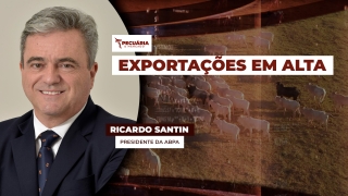 Ricardo Santin - Presidente da ABPA