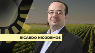 Ricardo Nicodemos