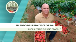 Horti Resenha Podcast - Guilherme Dorigatti
