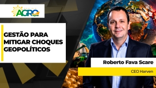 Roberto Fava Scare - CEO Harven