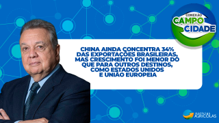 China ainda concentra 34% das exportações brasileiras, mas crescimento foi menor do que para outros destinos, como Estados Unidos e União Europeia
