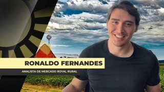 Ronaldo Fernandes - Analista de Mercado Royal Rural