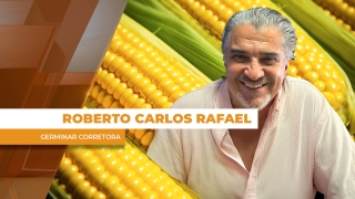 Roberto Carlos Rafael - Germinar Corretora