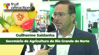Guilherme Saldanha