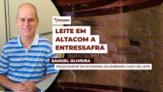 Samuel Oliveira - Pesquisador em Economia da Embrapa Gado de Leite