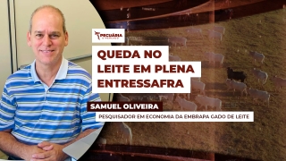 Samuel Oliveira - Pesquisador em Economia da Embrapa Gado de Leite