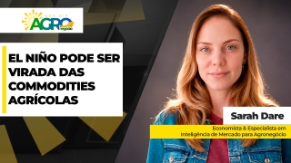 Sarah Dare - Economista & Especialista em Inteligência de Mercado para Agronegócio