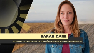 Sarah Dare - Economista & Especialista em Inteligência de Mercado para Agronegócio