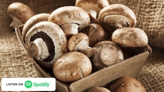 Podcast Eu Como
