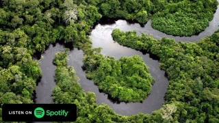 Podcast Eu Como