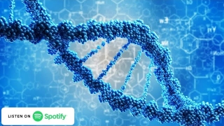 Podcast Eu Como