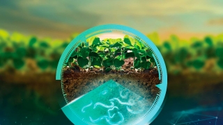 Mariana Calaça - Coordenadora de Novos Negócios da Syngenta Digital