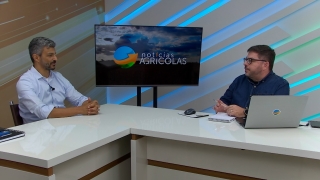 Paulo Queiroz - Gerente de Fungicidas da FMC