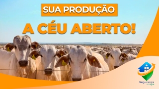 Carlos Zumerle, especialista em segurança no agro