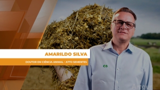 Amarildo Silva - Doutor em ciência animal - ATTO Sementes