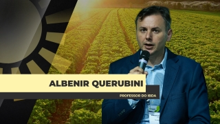 Albenir Querubini - Professor do IBDA
