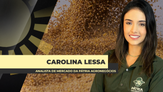 Carolina Lessa - Analista de Mercado da Pátria Agronegócios