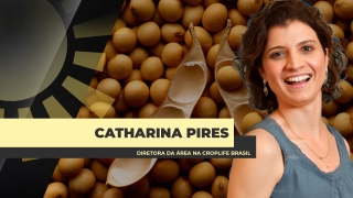 Catharina Pires - Diretora da área na CropLife Brasil
