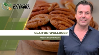 Claiton Wallauer - Presidente do IBPecan