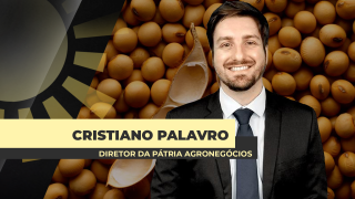 Cristiano Palavro - Diretor da Pátria Agronegócios