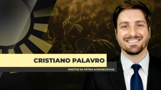 Cristiano Palavro - Diretor da Pátria Agronegócios