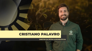 Cristiano Palavro - Diretor da Pátria Agronegócios