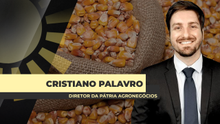 Cristiano Palavro - Diretor da Pátria Agronegócios