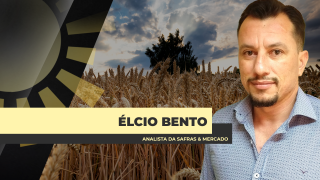 Élcio Bento - Analista da Safras & Mercado