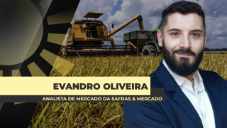 Evandro Oliveira - Analista de Mercado da Safras & Mercado