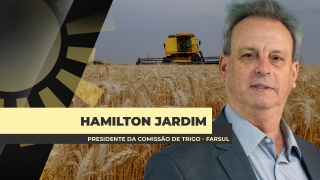 Hamilton Jardim - Presidente da Comissão de Trigo - Farsul