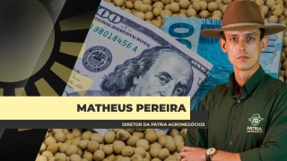 Matheus Pereira - Sócio-Diretor da Pátria Agronegócios