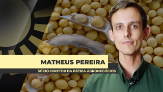 Matheus Pereira - Sócio-Diretor da Pátria Agronegócios