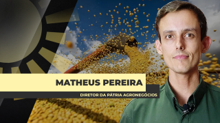 Matheus Pereira - Sócio-Diretor da Pátria Agronegócios